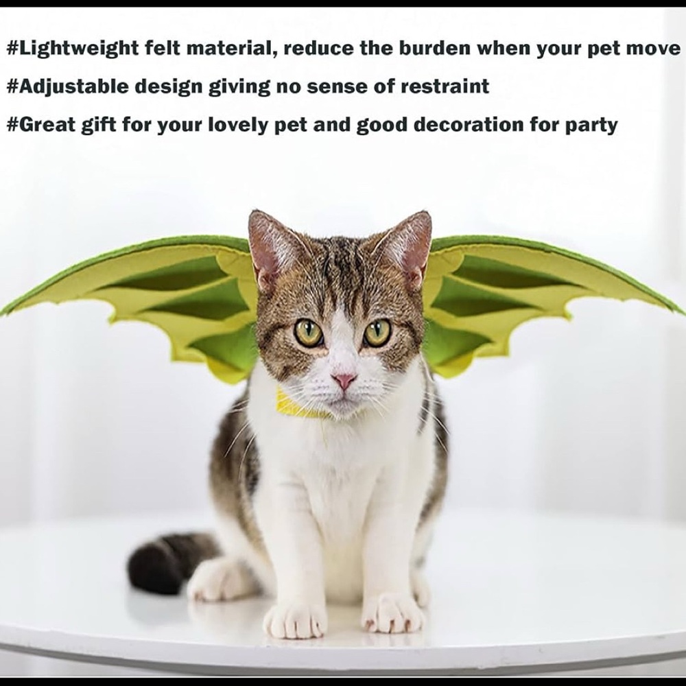 Green Dinosaur Wings Cat Costume - Picture 2 of 5